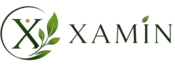 Xamin